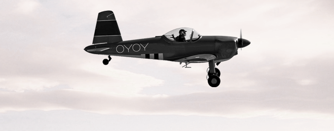 OYOY fly