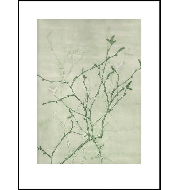 Smuk botanisk plakat af Pernille Folcarelli med grønne grene