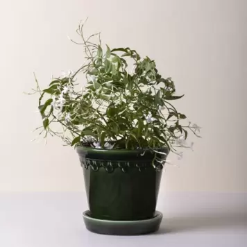 Bergs Potter - Ø:14 Københavnerpotten, Emerald Green