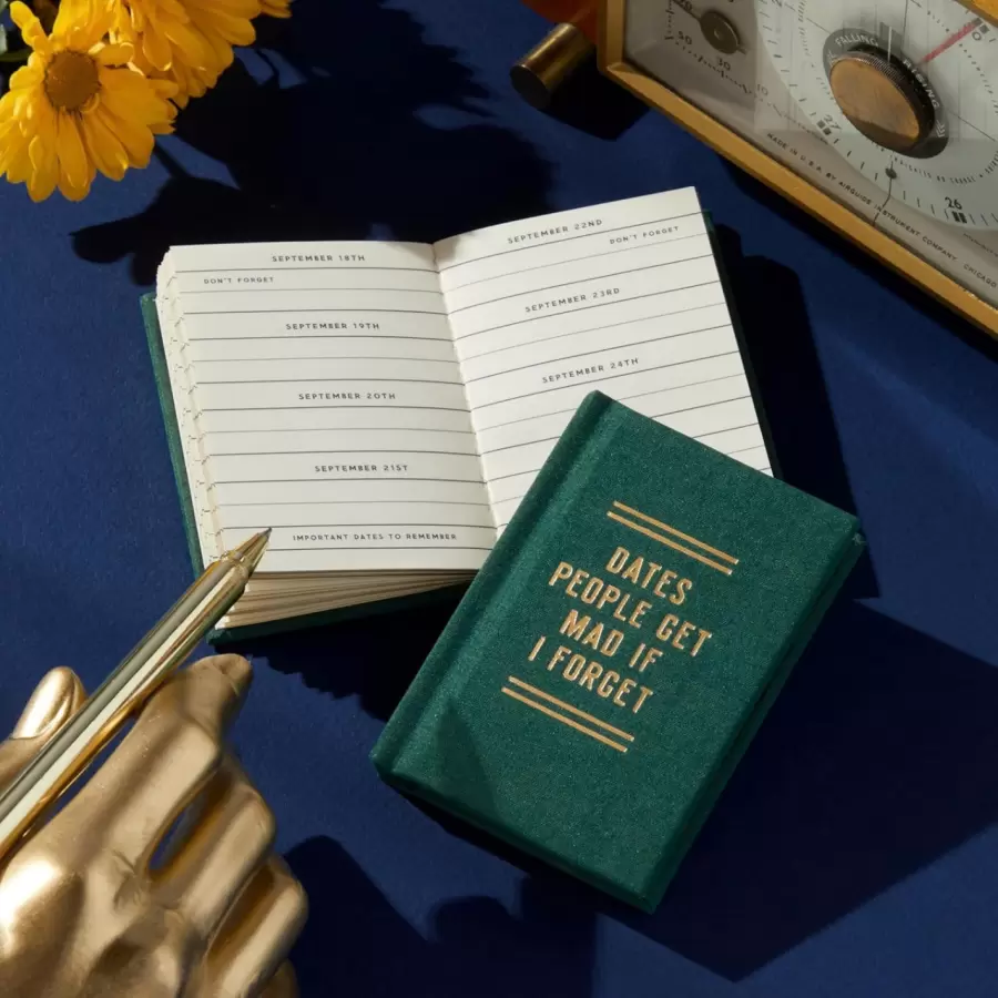 New Mags - Tiny Diary - Dates People Get Mad If I Forget
