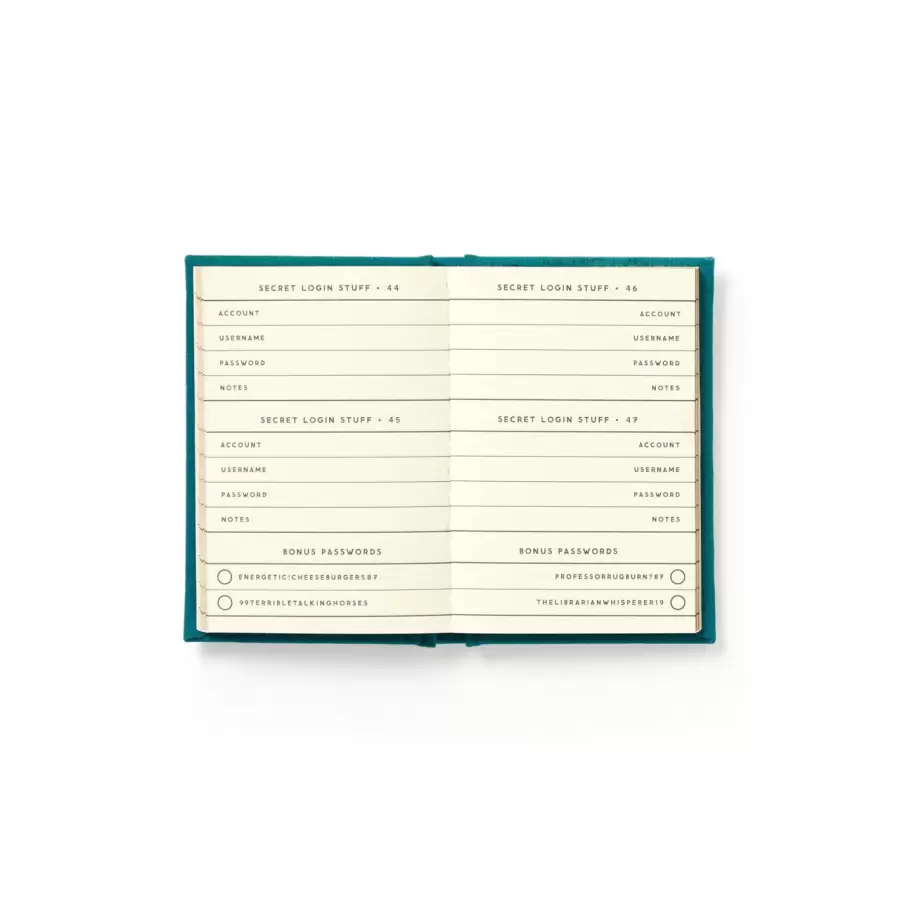 New Mags - Tiny Diary - Definately not my passwords