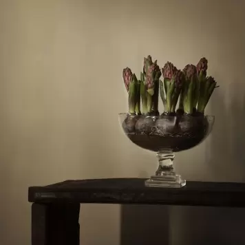 TineK Home - Glasbowle m/firkantet fod, Klar Ø:25*18