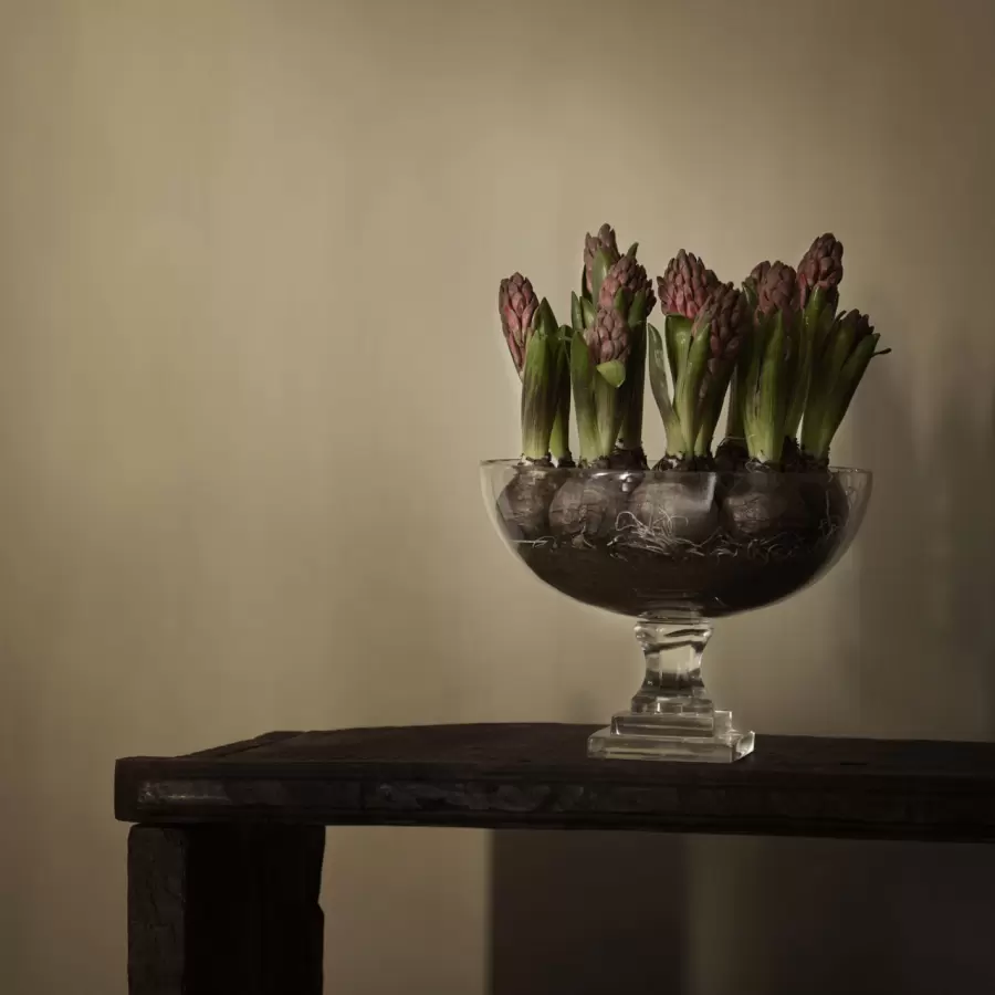TineK Home - Glasbowle m/firkantet fod, Klar Ø:25*18
