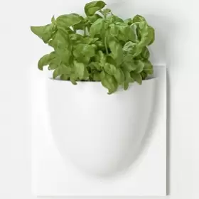 Vertiplants Vertiplants
