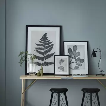Pernille Folcarelli - Fern Black 70x100, nummereret tryk