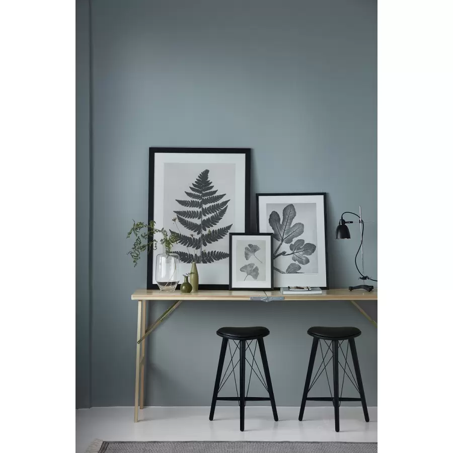 Pernille Folcarelli - Fern Black 70x100, nummereret tryk