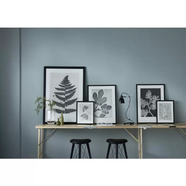 Pernille Folcarelli - Fern Black 70x100, nummereret tryk