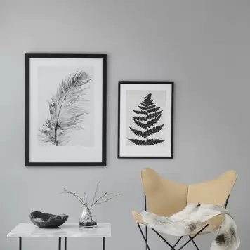 Pernille Folcarelli - Fern Black 50x70 cm. nummereret artprint