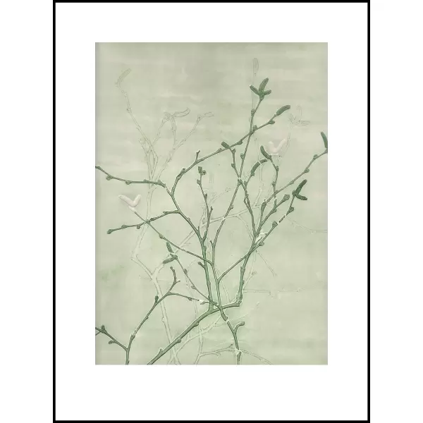 Pernille Folcarelli - Birch Green 30x40