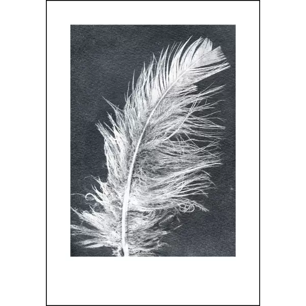 Pernille Folcarelli - Feather, White 70x100