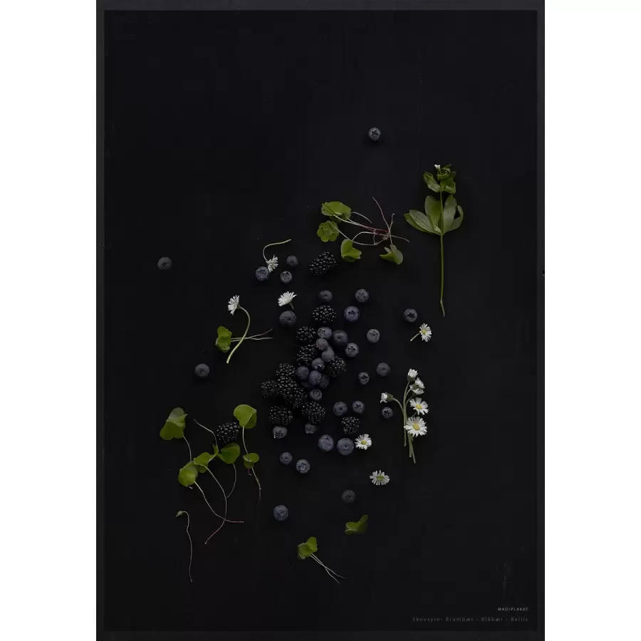 MAD/PLAKAT - Sorte bær, 70x100