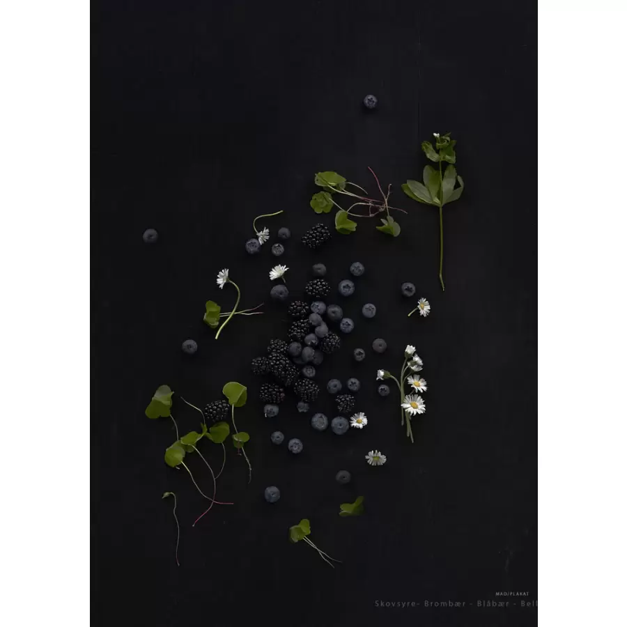 MAD/PLAKAT - Sorte bær, 50x70