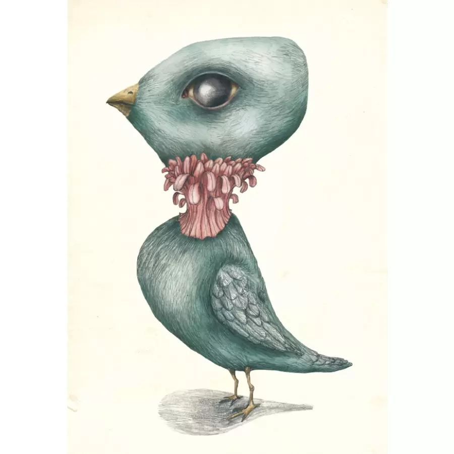 Sumo Illustration - Bird