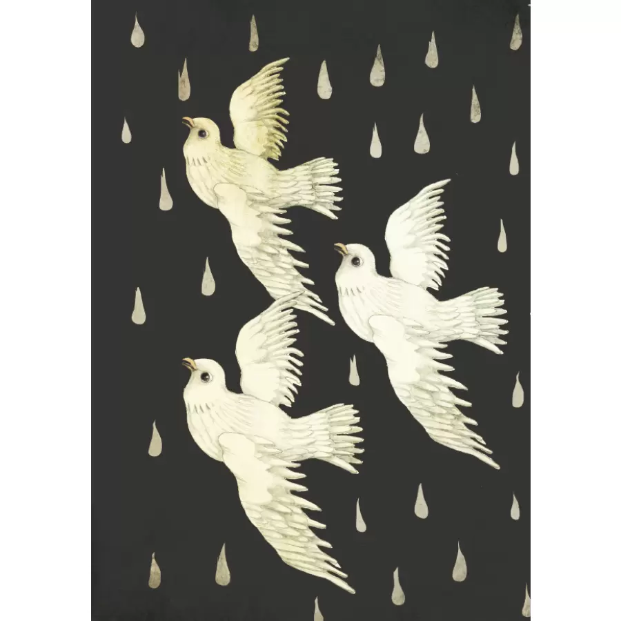 Sumo Illustration - Three Little Birds