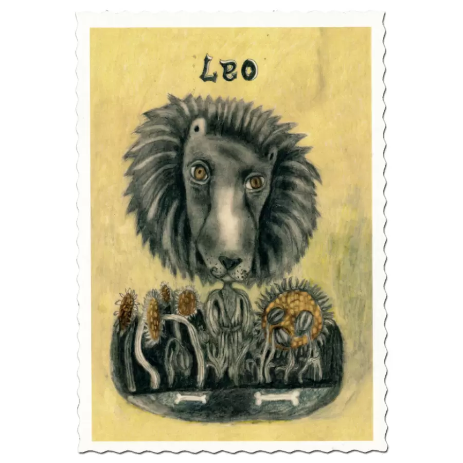 Sumo Illustration - Leo