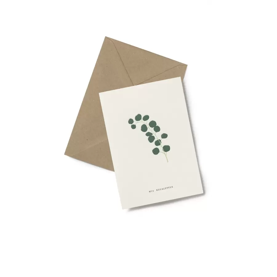 KARTOTEK - Greeting Card, No 2 Eucalyptus