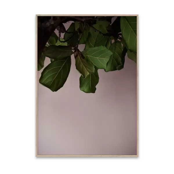 Paper Collective - Green Leaves 50x70