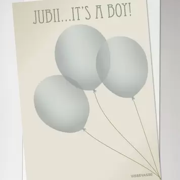 Vissevasse - Jubii - It's a boy