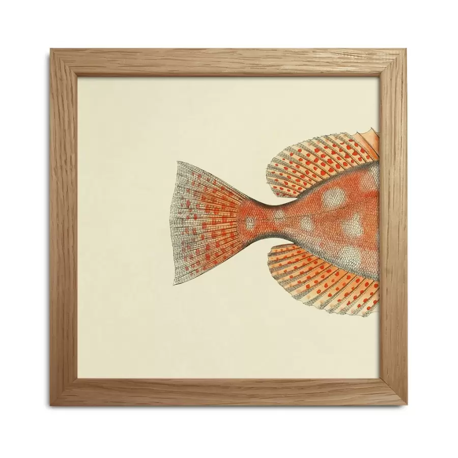 The Dybdahl Co. - Miniprint Half Fish #SQ039
