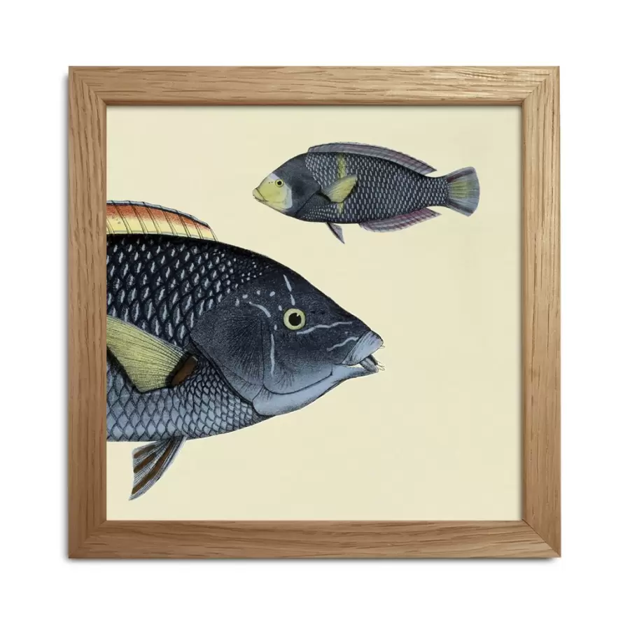 The Dybdahl Co. - Miniprint Half Fish #SQ048