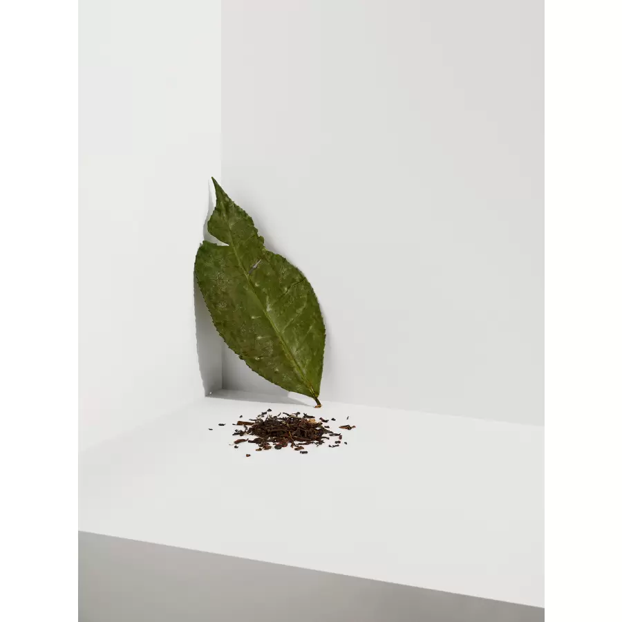 Cocoon Tea Artisans - Sort Earl Grey Refill