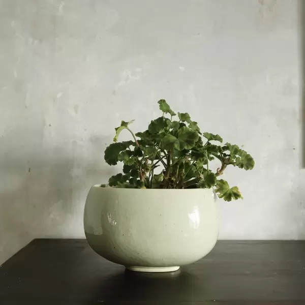 Ro Collection - Bowl No. 9, Chromium Green