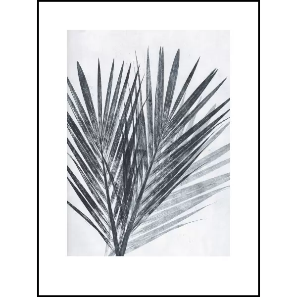 Pernille Folcarelli - Palm Light, 30x40