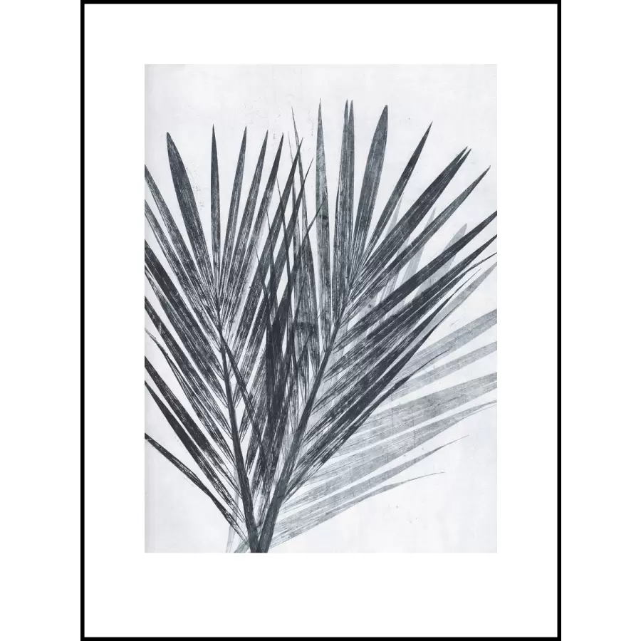 Pernille Folcarelli - Palm Light, 30x40