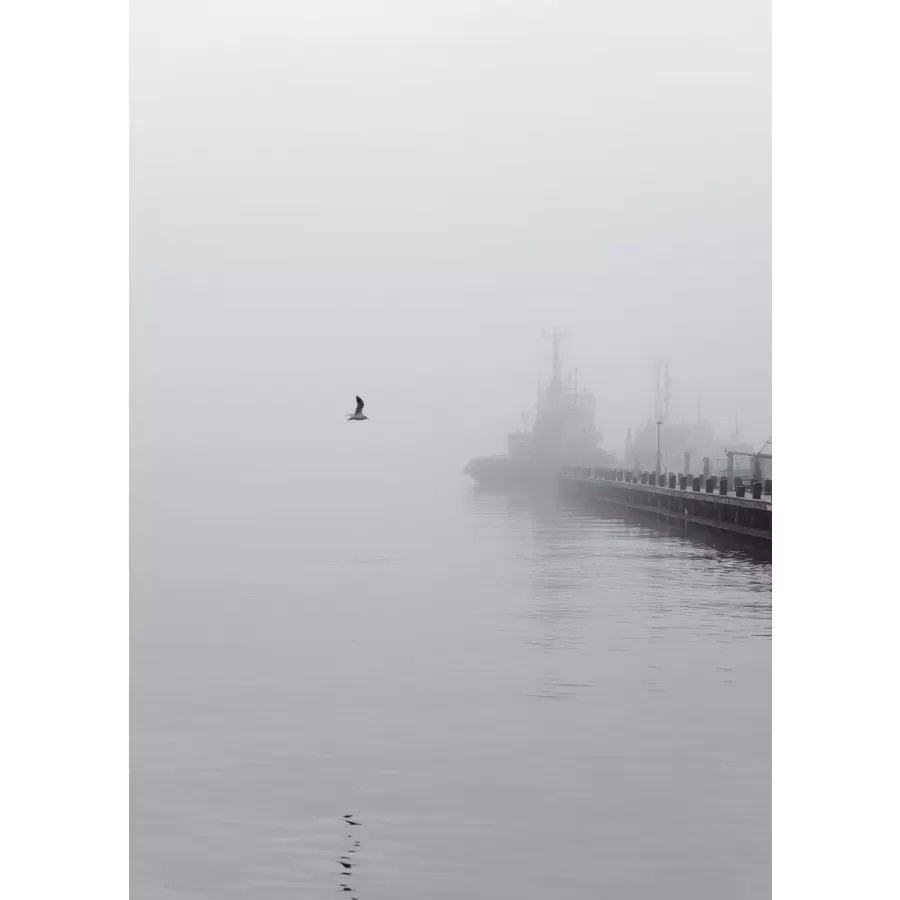 MARIA FYNSK NORUP - Through the Mist