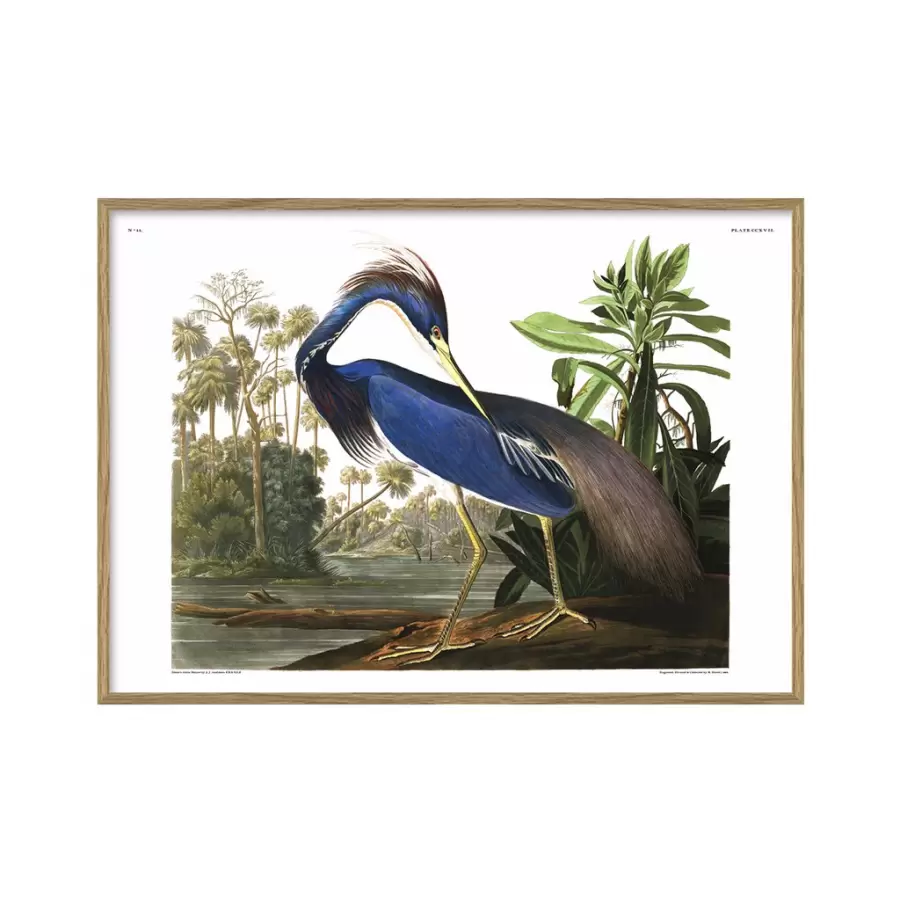 The Dybdahl Co. - Louisiana Heron #6502 30*40