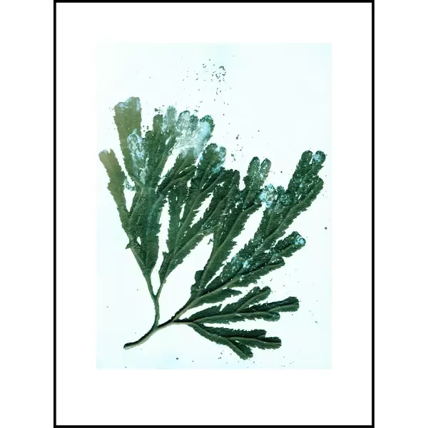 Pernille Folcarelli - Seaweed sea green, 30x40