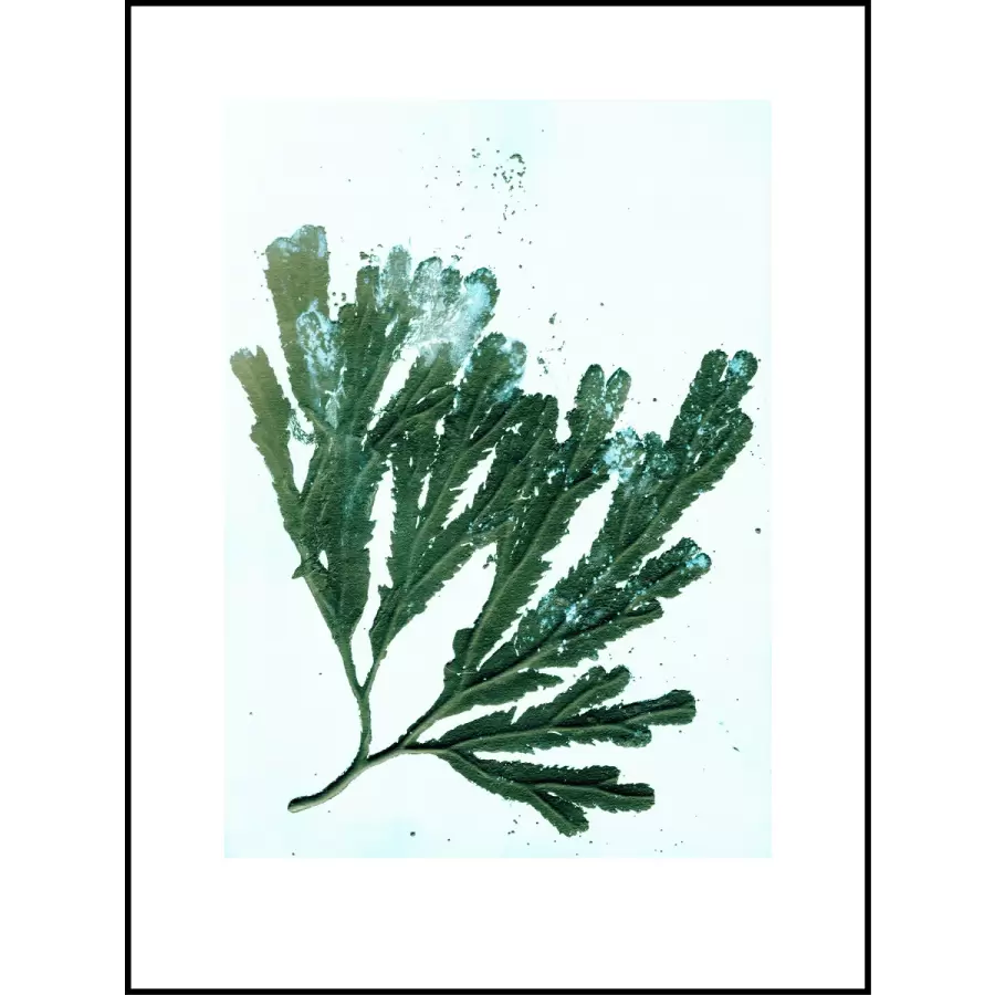 Pernille Folcarelli - Seaweed sea green, 50x70