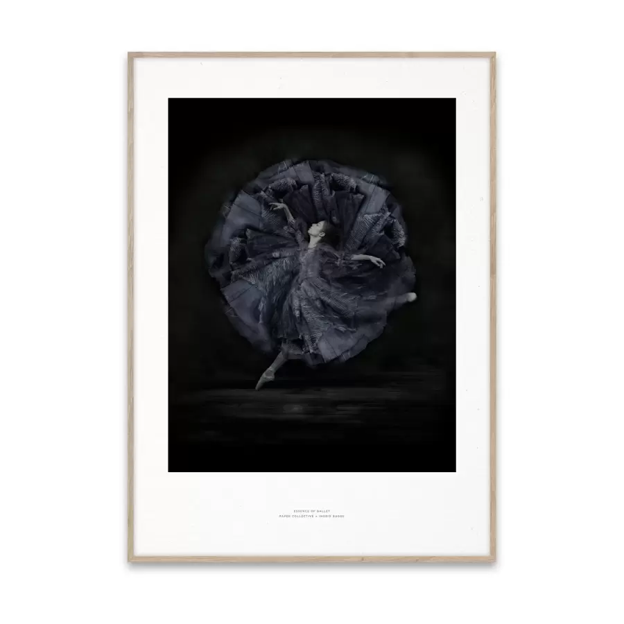Paper Collective - Essence of Ballet 06, 50x70