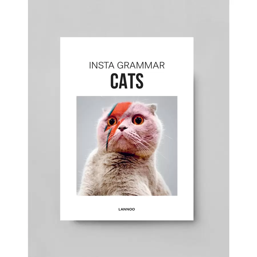 New Mags - Insta grammar Cats