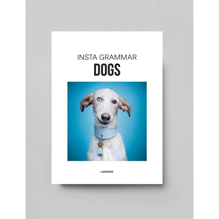 New Mags - Insta grammar Dogs