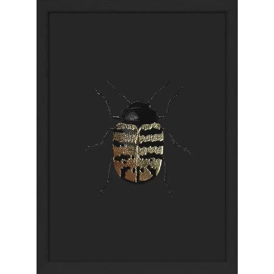 The Dybdahl Co. - #9700 Golden Beetle, Black
