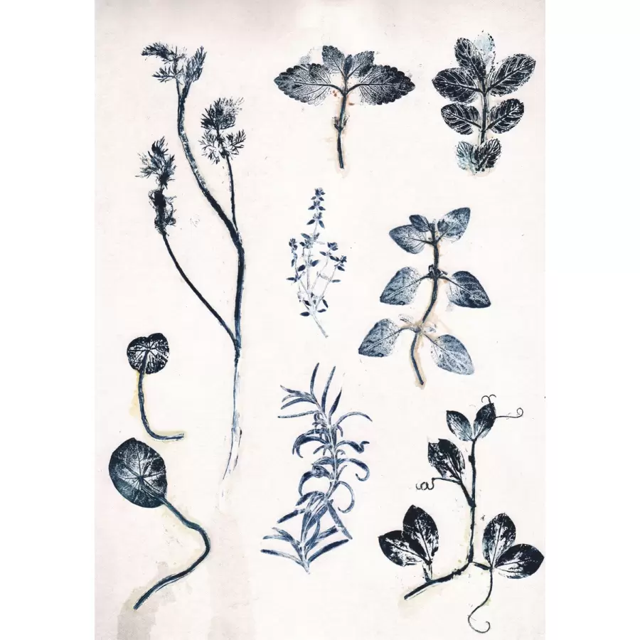 Pernille Folcarelli - Garden Herbs Blue, 30x40
