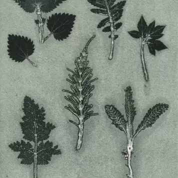 Pernille Folcarelli - 50x70 Wild Herbs Pernille Folcarelli - 50x70 Wild Herbs