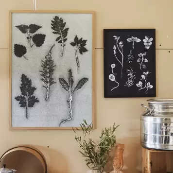 Pernille Folcarelli - 50x70 Wild Herbs