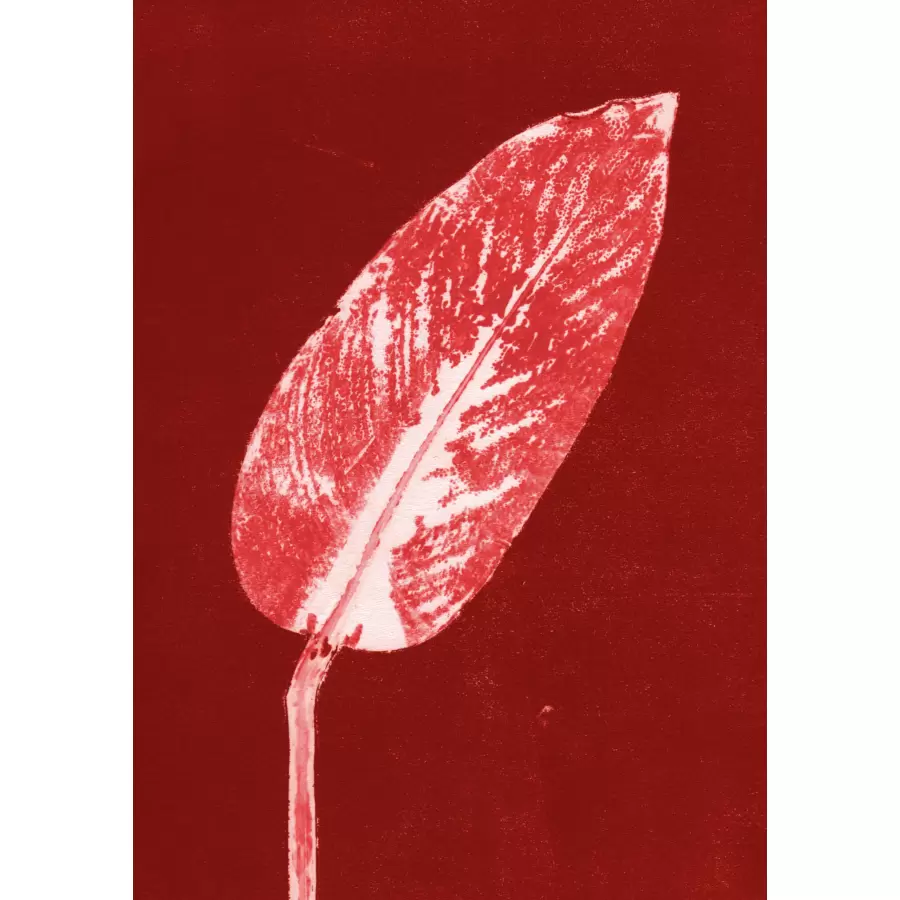 Pernille Folcarelli - Calathea Burned Red, A5