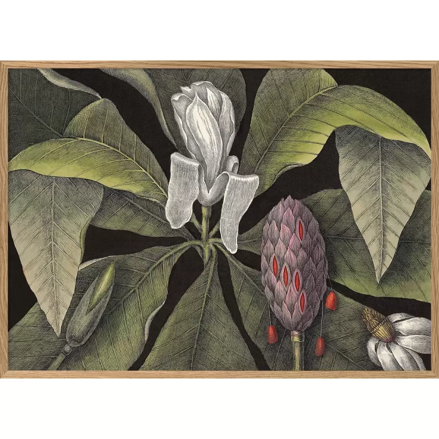 The Dybdahl Co. - White Magnolia Bud #3414, 30x40
