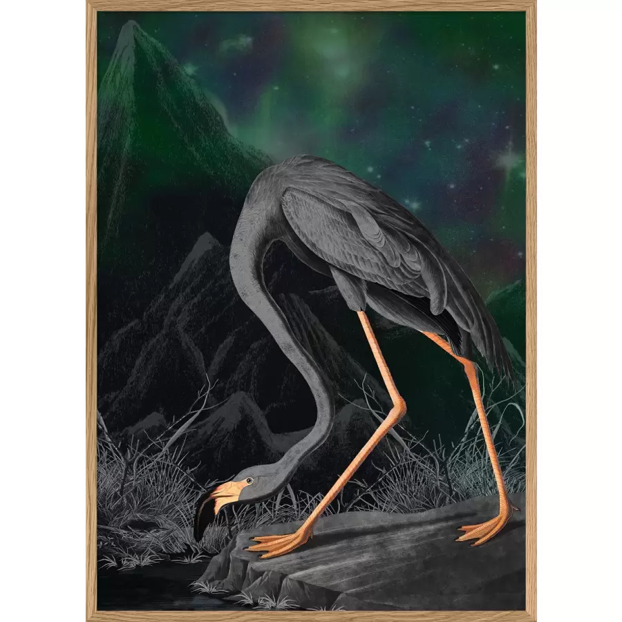 The Dybdahl Co. - 6401 Black Flamingo, 50x70
