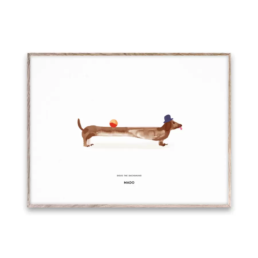 Paper Collective - Doug the Dachshund 30x40