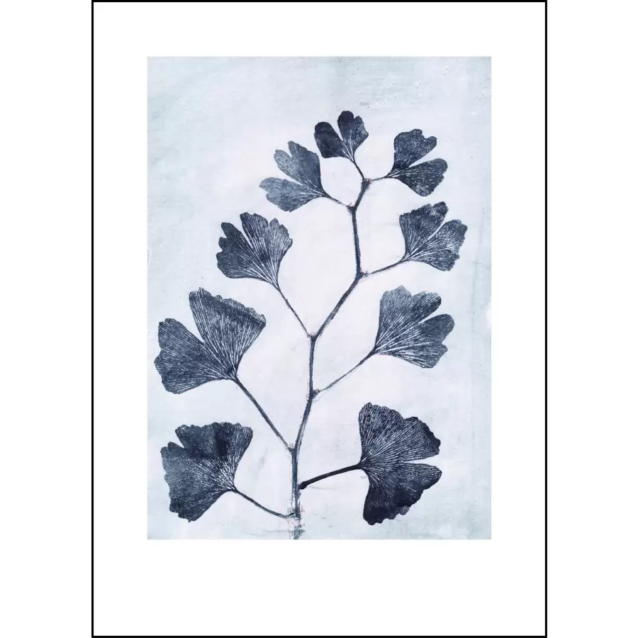 Pernille Folcarelli - Ginkgo ink