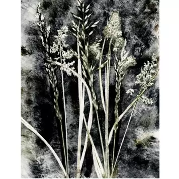 Pernille Folcarelli - Grass Charcoal