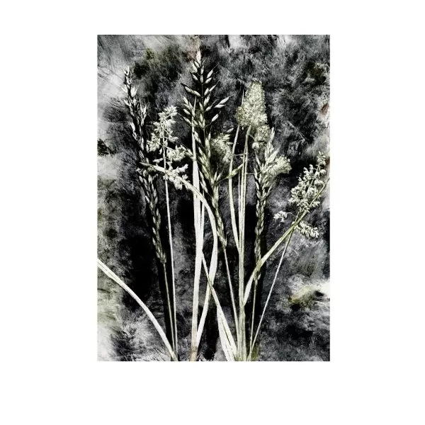 Pernille Folcarelli - Grass Charcoal