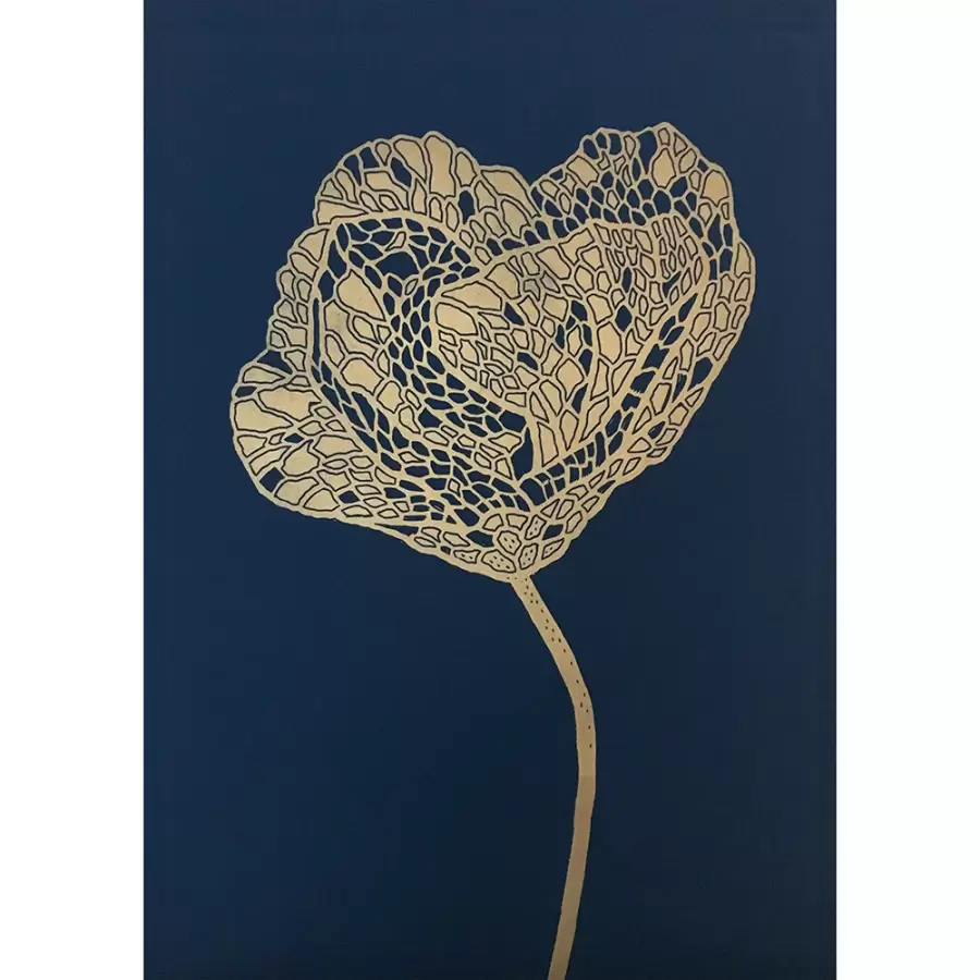 Monika Petersen Art Print - Valmue Poppy guld/indigo 50x70