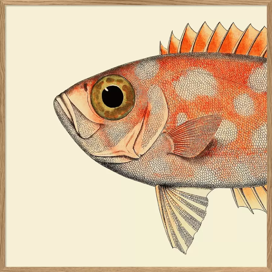The Dybdahl Co. - Dotted orange fish head 61*61