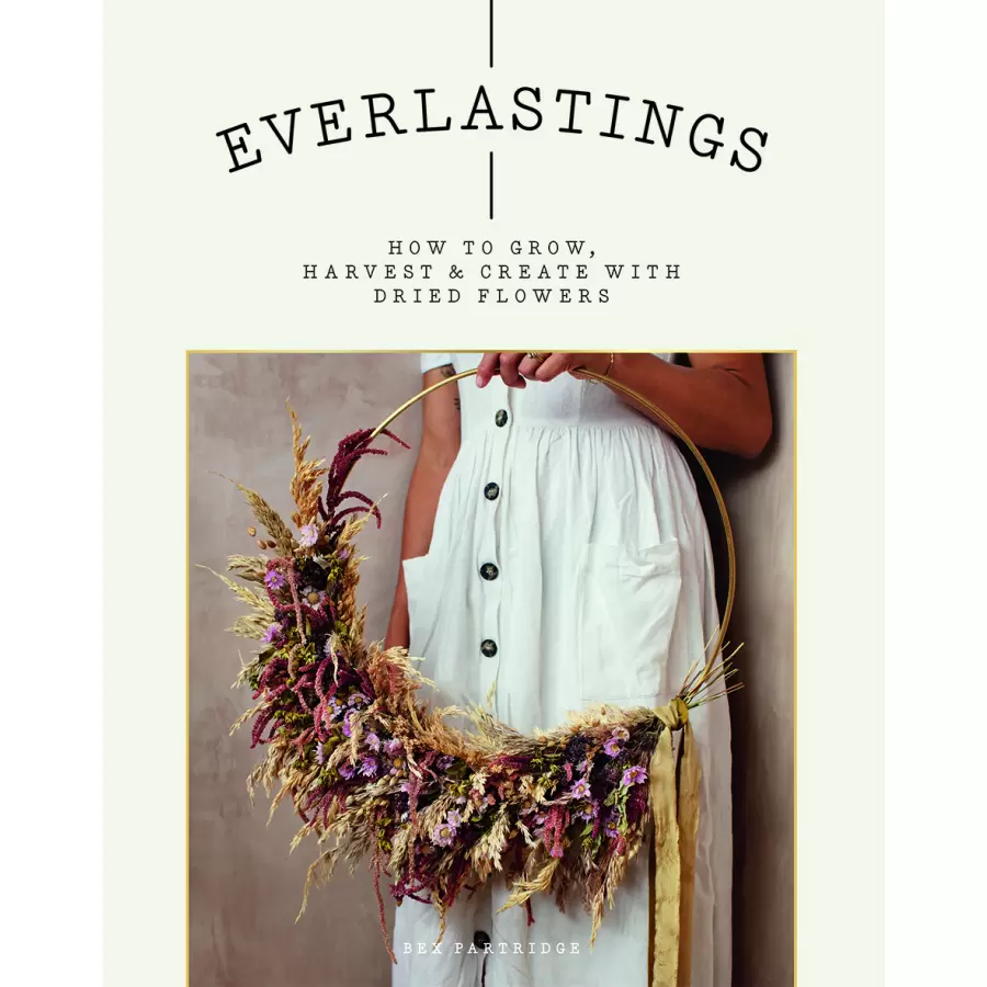 New Mags - Everlastings