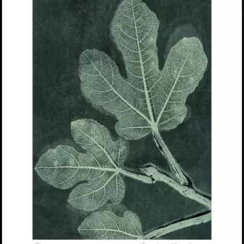 Pernille Folcarelli - Nummeret og signeret, Dark Teal 70*100 Pernille Folcarelli - Nummeret og signeret, Dark Teal 70*100